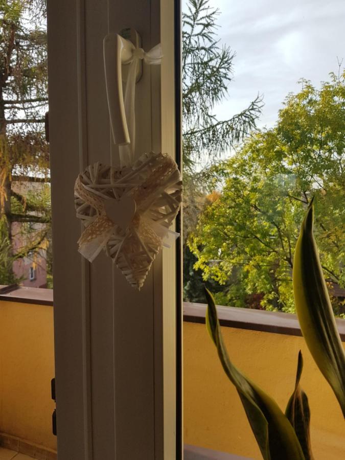 Mieszkanie W Centrum Krakowa Exteriér fotografie